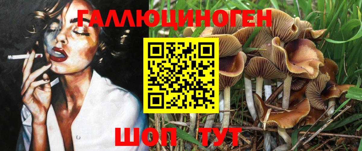 Псилоцибиновые грибы GOLDEN TEACHER  Вход с VPN  Добрянка 
