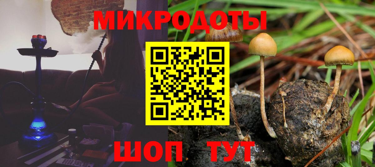 Галлюциногенные грибы Psilocybe Добрянка